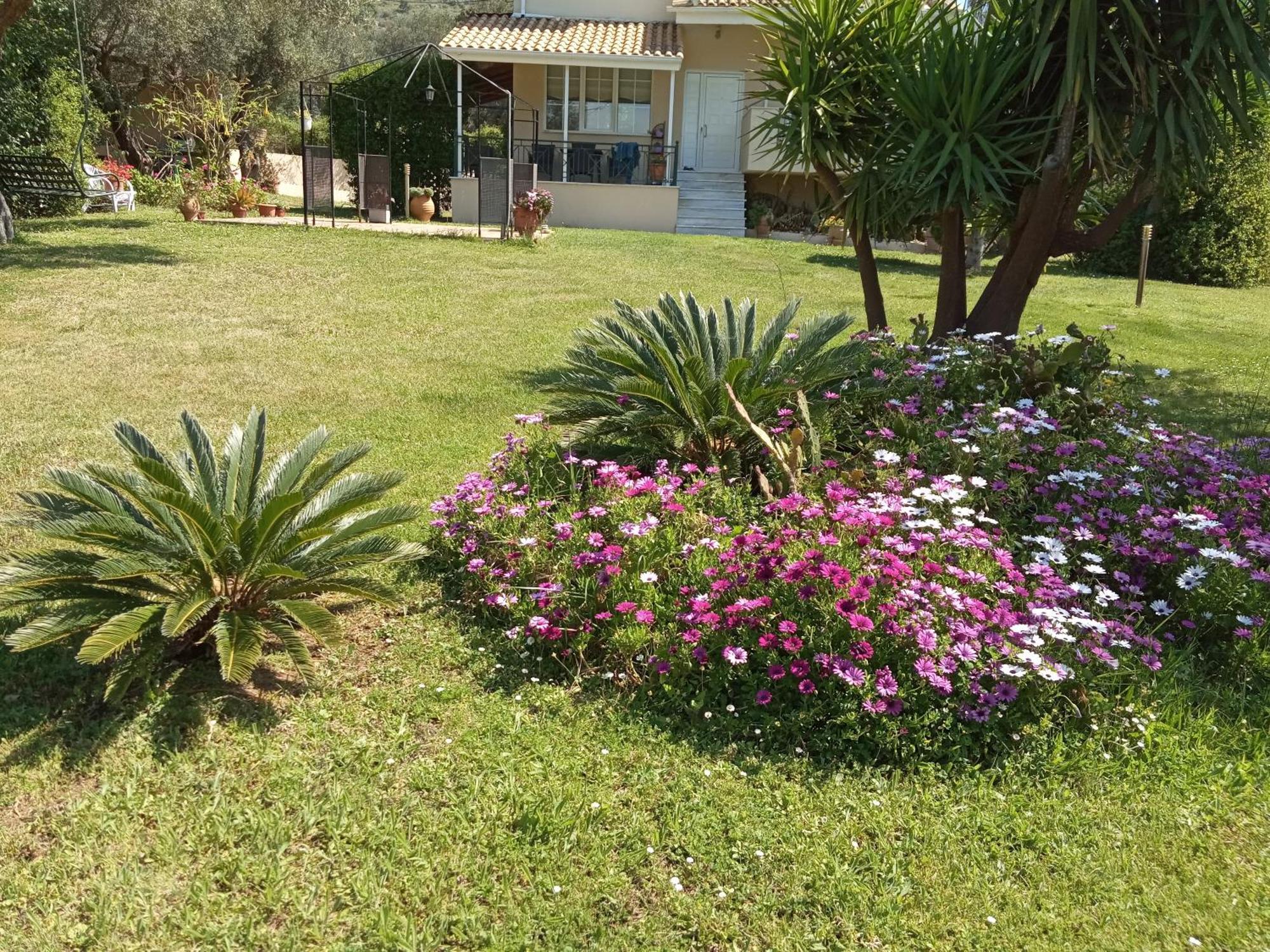 Sunny Garden Villa Plataria Kamer foto